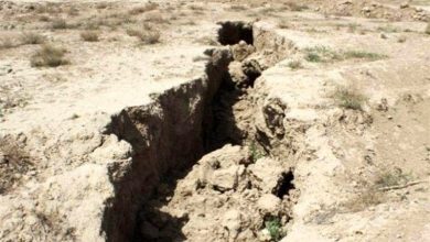 دشت مشهد شرایط مطلوبی ندارد/ تداوم خشکسالی در خراسان رضوی