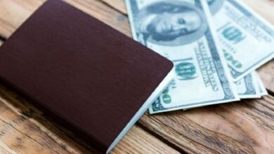 دلار از سبد ارزهای مسافرتی به کشورهای همسایه حذف میشود