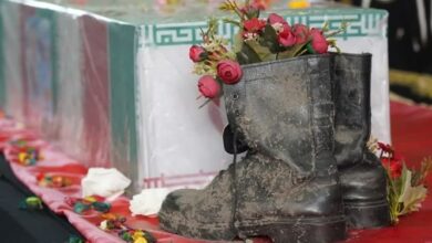 دیار علویان میزبان لالههای زهرایی + جزئیات مراسم