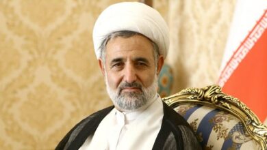 ذوالنوری: قانون اقدام راهبردی قدرت چانهزنی را در مذاکرات بیشتر کرد