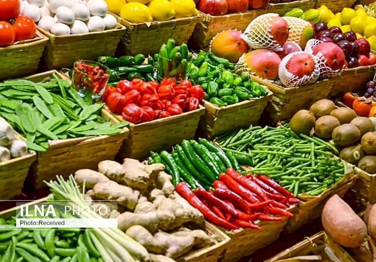 رشد ۱۸ درصدی صادرات محصولات غذایی و کشاورزی به آفریقا