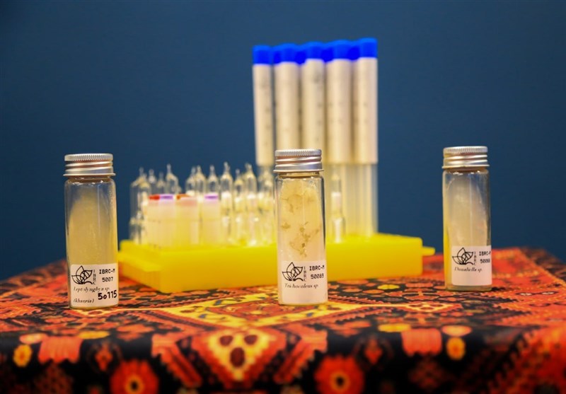 رونمایی از داروی ضدسرطان ایرانی + تصاویر