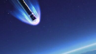 زارعپور: «سپرحرارتی کپسول زیستی» برای نخستینبار آزمایش میشود