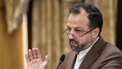 سخنگوی اقتصادی دولت: دولت فعلا برنامهای برای ادغام صندوقهای بازنشستگی ندارد