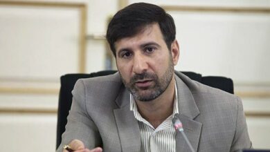 سخنگوی شورای نگهبان: نتایج بررسیهای هیاتهای نظارت پس از ۱۴ دی اعلام میشود