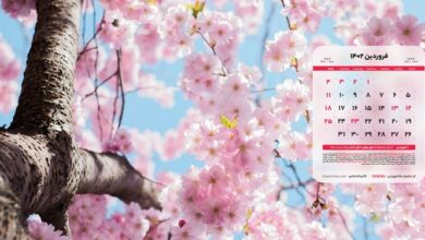 سخنگوی کمیسیون اجتماعی مجلس: هفته آینده لایحه ساماندهی تعطیلات بررسی میشود