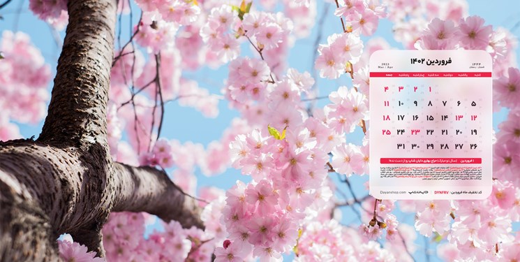 سخنگوی کمیسیون اجتماعی مجلس: هفته آینده لایحه ساماندهی تعطیلات بررسی میشود