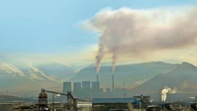 سلاجقه: مازوتسوزی در نزدیکی هیچ یک از کلانشهرها انجام نمیشود