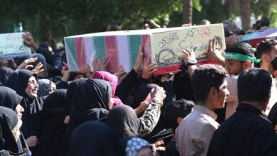 سلام هرمزگان بر قهرمانان خوشنام وطن/ عطر لالههای گلگون در هرمزگان پیچید + فیلم و تصاویر