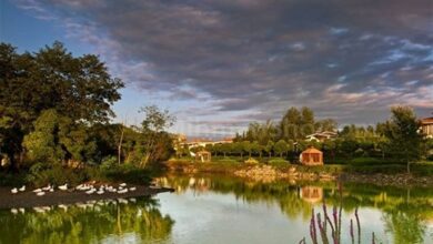 سند مالکیت تالاب بینالمللی عینک رشت صادر شد