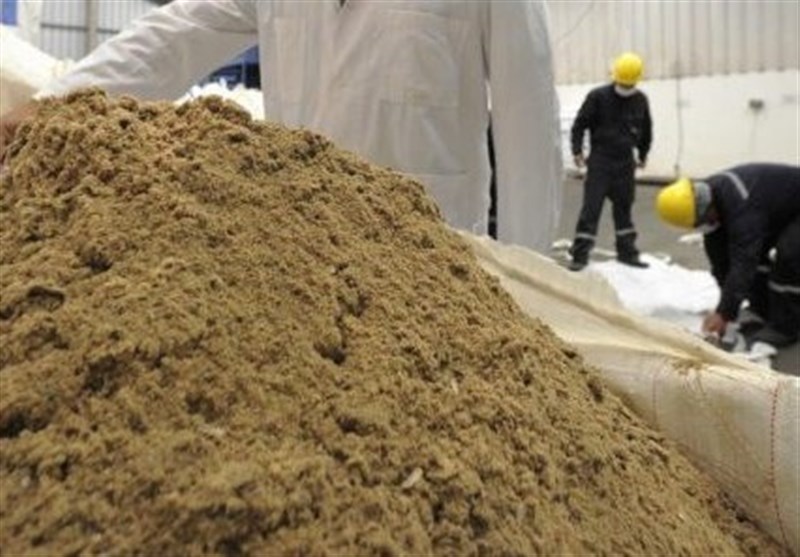 سهم کارخانههای پودر ماهی در صادرات افزایش یابد