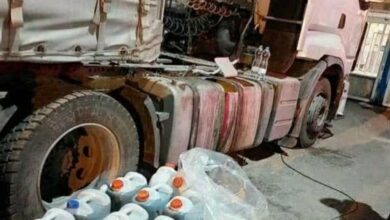 سگهای موادیاب گمرک شیشه کشف کردند