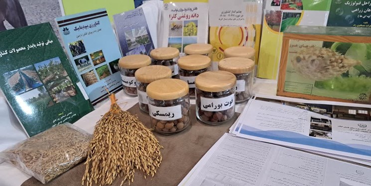 سیمای عملیاتی شرکتهای دانشبنیان در گیلان