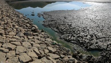 عامل سیل، انسانی است/ از بین رفتن پوشش باعث ایجاد سیل میشود