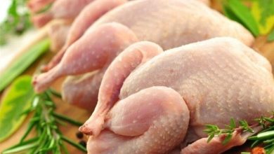 عرضه مرغ گرم در استان اردبیل افزایش مییابد