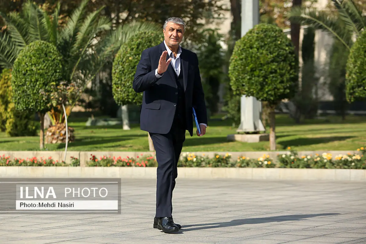 قانون اقدام راهبردی مجلس برای لغو تحریمها آمده نه جنجالآفرینی/ مساله هستهای یک موضوع ملی و راهبردی نه سیاسی، گروهی و جناحی