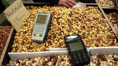 قیمت آجیل شب یلدا ۲۸۰ تا ۳۲۶ هزار تومان اعلام شد