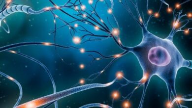 مبارزه با بیماریهای واگیر یکی از برنامههای اصلی گروه پیشگیری است