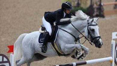 متن گزارش نهایی تحقیقوتفحص از وزارت ورزش در مورد عملکرد فدراسیون سوارکاری