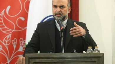 مدیرعامل صندوق اعتباری هنر: استعدادهای برتر هنری شناسایی میشوند