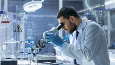 مدیریت دانش از طریق شرکتهای دانشبنیان در دستور کار دولت