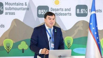 مقام ازبک: حجم یخچالهای طبیعی در آسیای مرکزی 30 درصد کاهش یافته است