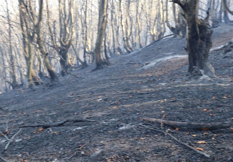 مهار حریق در مراتع و علفزارهای 3 شهرستان گیلان