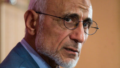 میرسلیم: مشارکت در انتخابات پیش رو بیش از ۶۰ درصد خواهد بود/ «خالصسازی» یک ادعا است