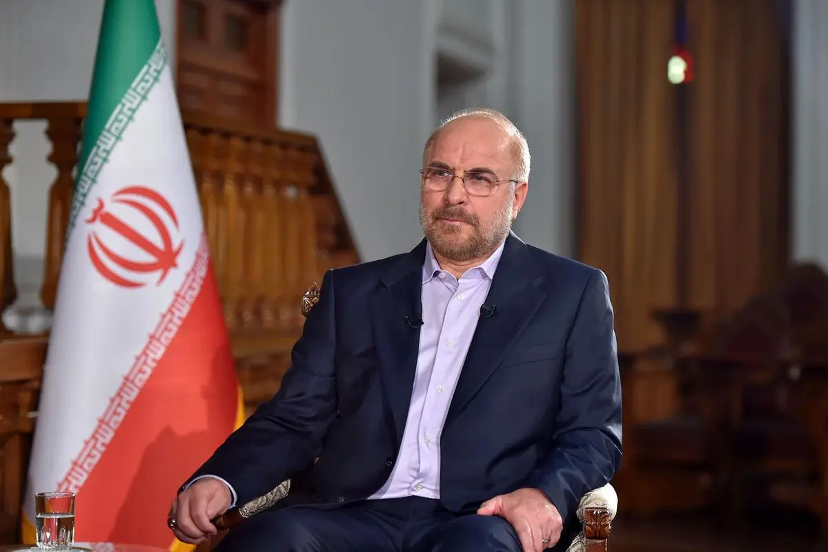 نخست وزیر سوریه با رئیس مجلس دیدار کرد