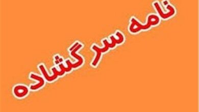 نقد فنی جمعی از دانشگاهیان به گزارش مرکز پژوهشها با موضوع نرخ ارز