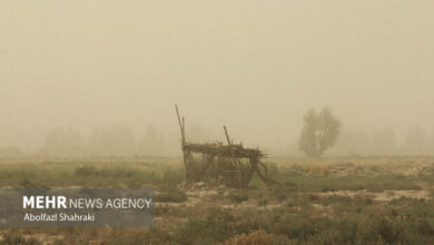 نقشه خاکشناسی کشور تا ۴ سال آینده آماده میشود