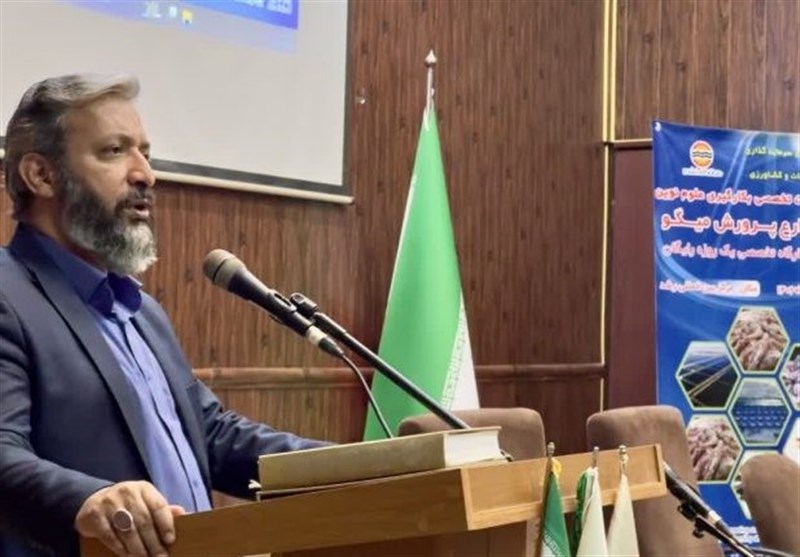 هدفگذاری کلان منطقه آزاد قشم در حوزه اقتصاد دریامحور/ قشم مرکز”پرورش میگو” میشود