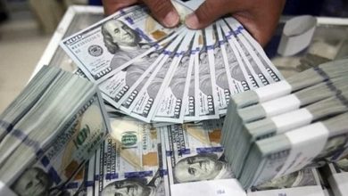 واکاوی شیوه جدید مدیریت ارزی کشور