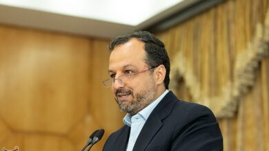 وزیر اقتصاد: پرونده فساد چای جدید نیست/ فقط یک کمپین رسانهای وسیع دارد