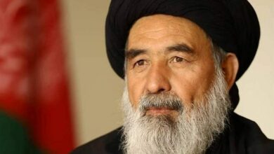 پیام تسلیت سفارت ایران در پی درگذشت «حجتالاسلام هادی»