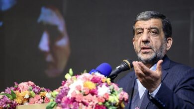 پیشنهاد وزارت میراث فرهنگی برای لغو روادید با ۳۲ کشور