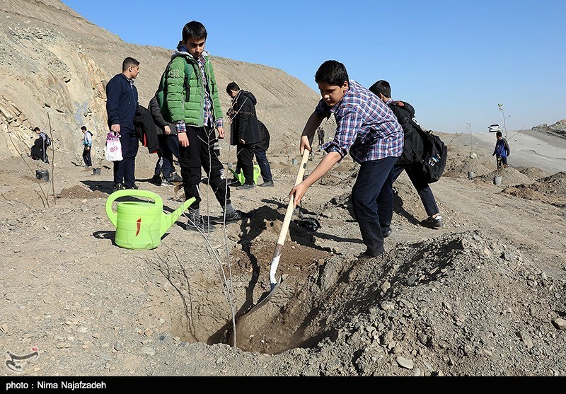 چرا زنجان کمتر از سهمیه سالانه خود غرس نهال داشته است؟