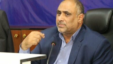 کشاورزان و تولیدکنندگان در بازارهای بینالمللی نقشآفرین باشند