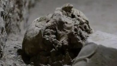 کشف بقایای اسکلت انسانی در فصل ششم کاووش آبراهههای تخت جمشید + تصویر