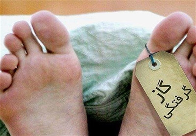 گازگرفتگی در کنگاور جان ۲ نفر را گرفت