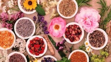 گیاهان دارویی تحت پوشش بیمه میروند