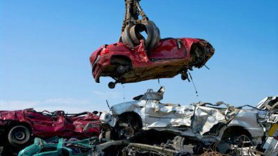 ۴.۸ همت از موجودی صندوق ملی محیطزیست کجاست؟/ آسیب تاخیر در تصویب یک آییننامه