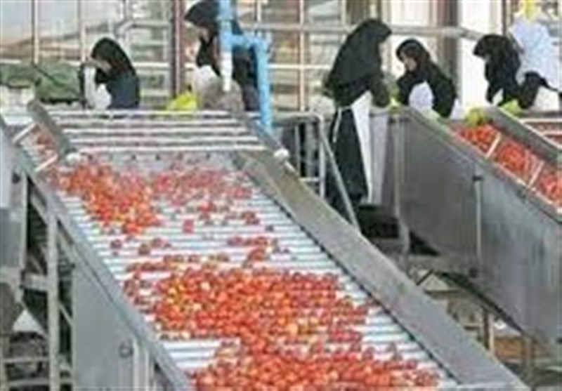 ۶۶ واحد صنایع تبدیلی غیرفعال در لرستان