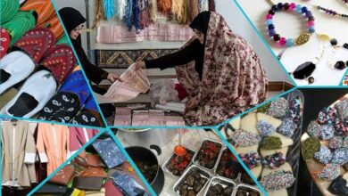 ۸۰ درصد مجوزهای کسبوکار مشاغل خانگی برای بانوان بوده است