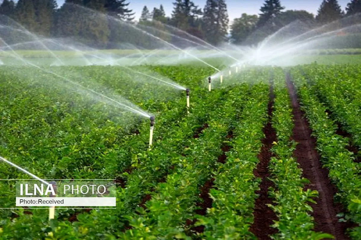 ۸۷ درصد غذای کشور در داخل تولید میشود