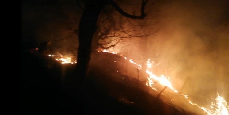 10 هکتار از عرصههای جنگلی چمستان نور در آتش سوخت