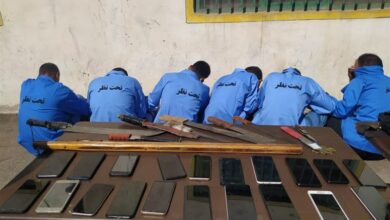 5 باند سارقان در کردستان متلاشی شد/ دستگیری 324 مالخر