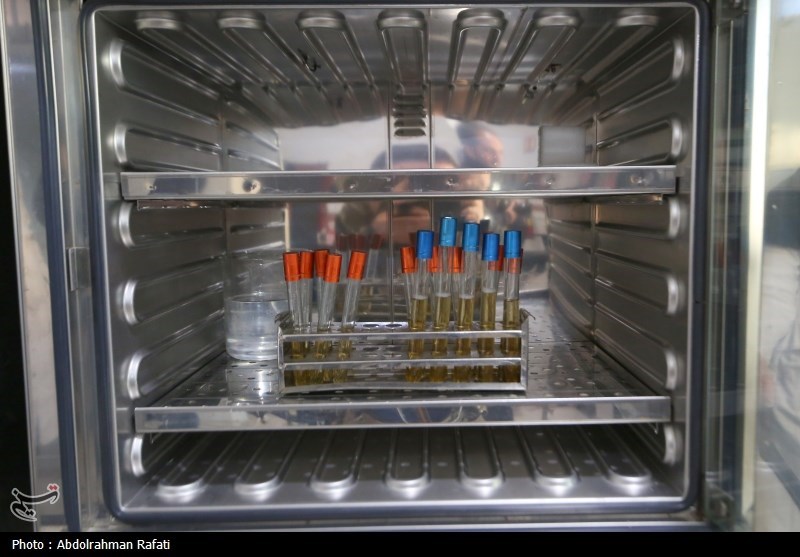 6 شهر استان همدان در سال آینده با مشکل کم آبی مواجه میشوند + تصویر