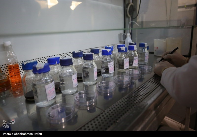 6 شهر استان همدان در سال آینده با مشکل کم آبی مواجه میشوند + تصویر