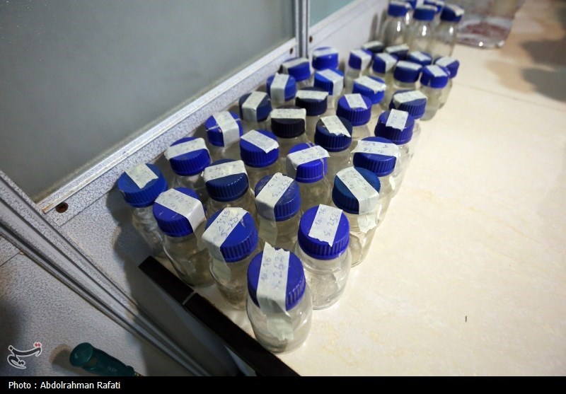 6 شهر استان همدان در سال آینده با مشکل کم آبی مواجه میشوند + تصویر